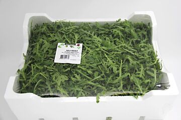 RUCOLA box PIEPSCHUIM 1KG
