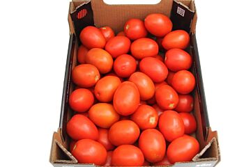 Pomodori INTENSE per DOOS 6KG