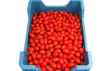 Snoep Tomaten per DOOS 4KG