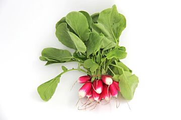 Puntradijs per zakje