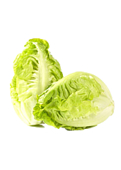 Little Gem GEPLUKT per 1kg