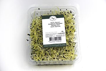 Knoflook scheuten per bakje