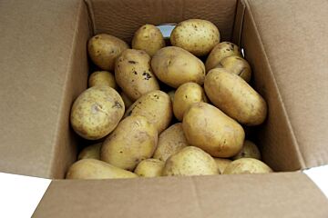 Grillers Pommetje per DOOS 15KG