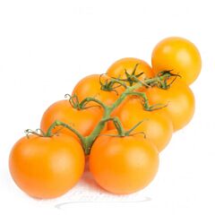 Trostomaten ORANJE per kg