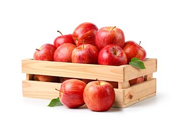 Appel GALA per DOOS 11KG