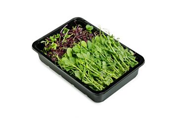 !Cress-co Micro Salad mix p/ds x8