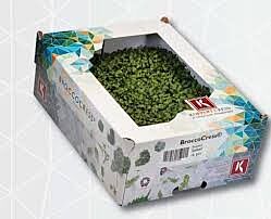 Cress Brocco per DOOS X16