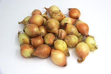 Nepuien per KILO