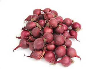 Nepuien ROOD per kilo