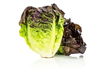 Little gem BICOLOR per DOOS 15X4