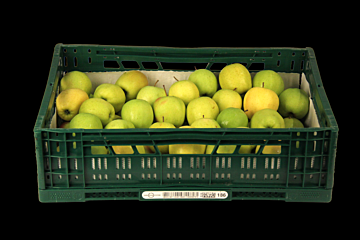 Appel Golden Delicious per KIST