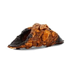 !Cannoli croccante leeg GLV