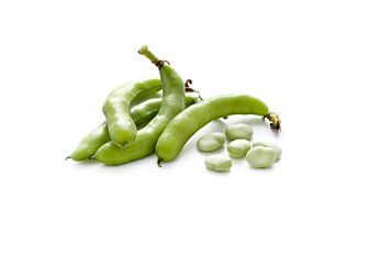 Tuinbonen in schil per kg