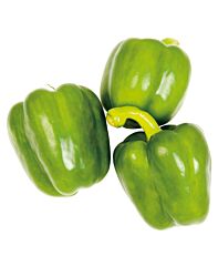 Paprika Groen per DOOS 5KG