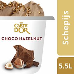 Carte d'or hazelnoot schepijs