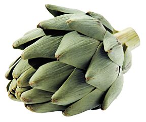 Artisjok vers per stuk