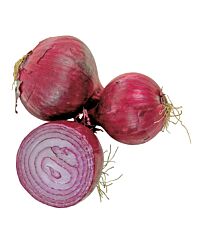 Uien Rood per BAAL 5KG