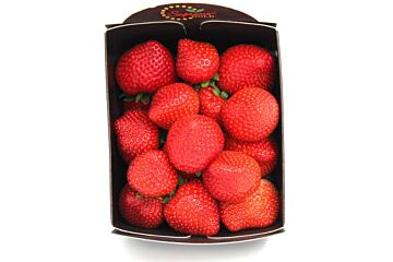 IMPORT Aardbeien per bak 400g