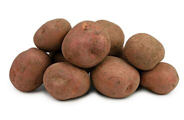 Bildstar per zak (2,5kg)