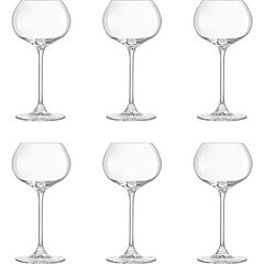 Champagne glas experts 27cl
