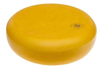 Goudse jong wiel pkg ca.12kg