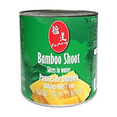 Bamboo shoot slice
