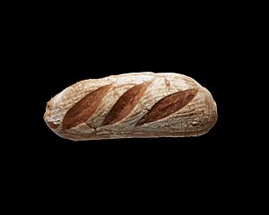 DEZ vloerbrood blond 900gr