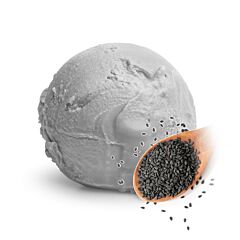 Pavan roomijs zwarte sesam