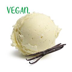 Pavan roomijs vanille VGN