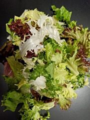 Slamix DELUXE GEPLUKT per 2KG