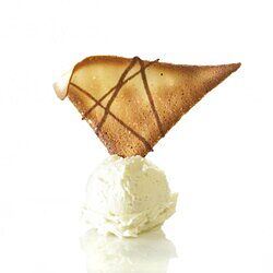 Didess tulipe fantasie