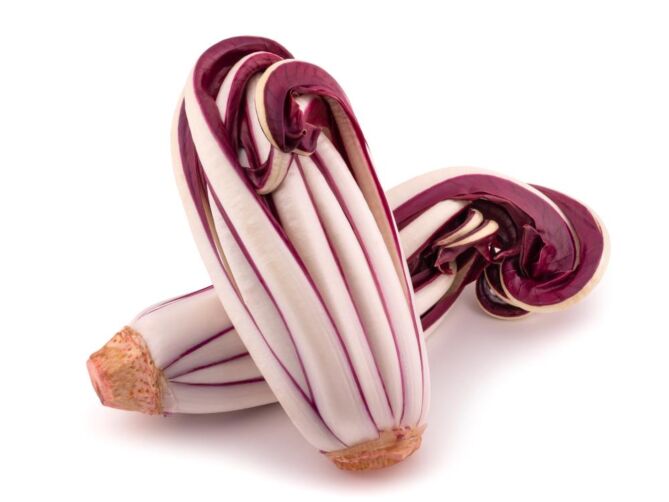 Radicchio TARDIVO per DOOS 1KG