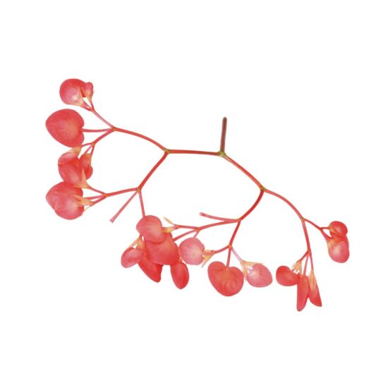 !Apple blossom per DOOS 2x100st