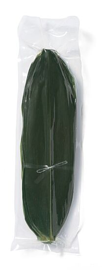 Kumazasa bamboeblad 30/32cm