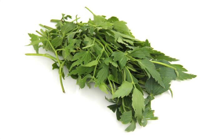 Maggie (lavas) per bos