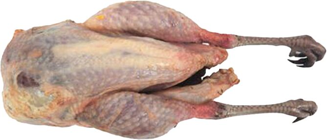 Fazant hen heel ca.700g