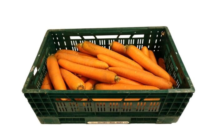 Winterwortel per KIST 20KG