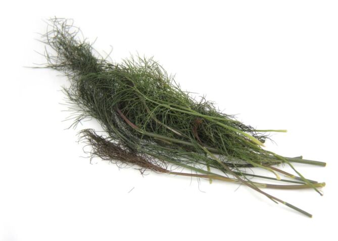 !Bronze Venkel per zakje 20g