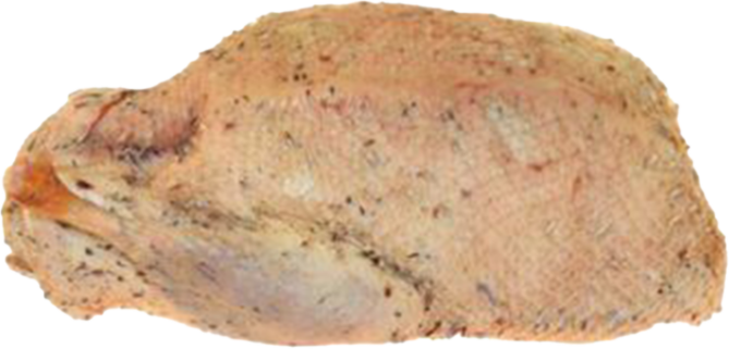 Wilde eend (kooi) ca.500g