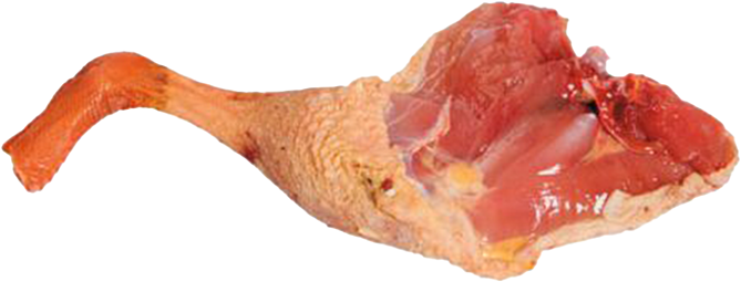 Wilde eendenboutjes (dv) ca.70g