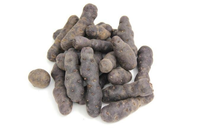 Truffel aardappel per kg