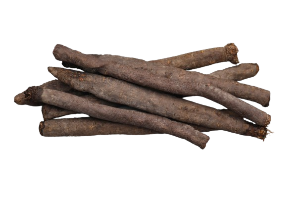 Schorseneren <vers> per kg