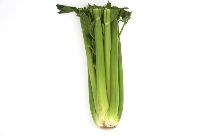 Bleekselderij per stuk