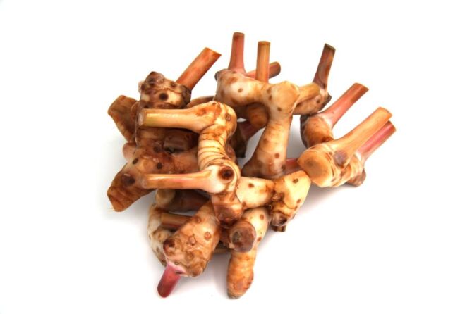 Laoswortel <galangal> per kg