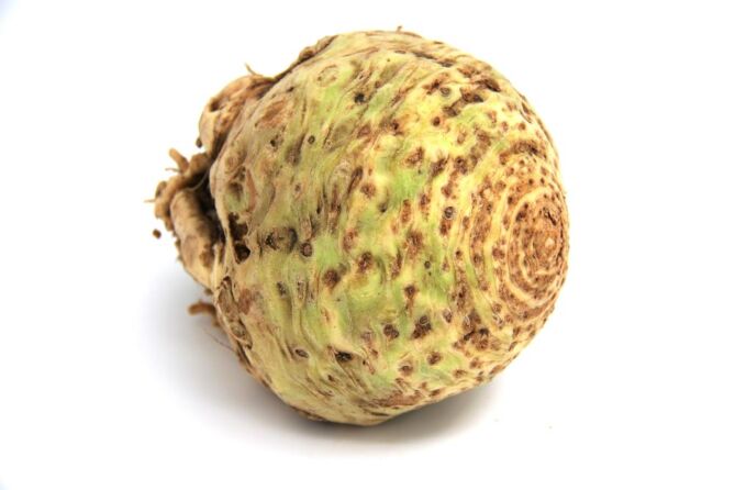 Knolselderij per stuk