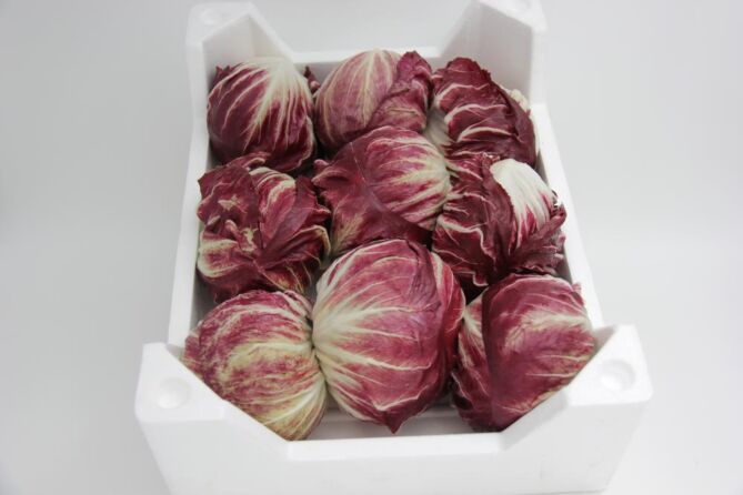 Rode sla per DOOS X9