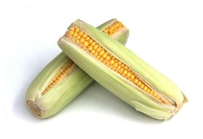 Maiskolven vers RAUW per pak