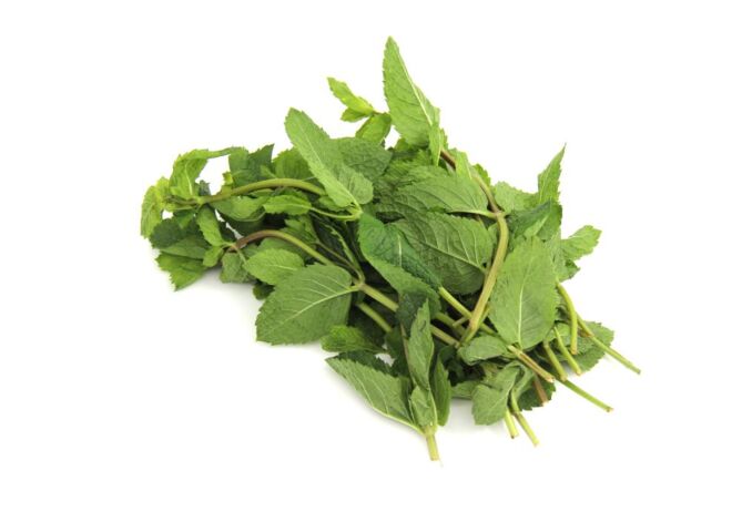 Mint per bos