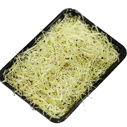 Prei scheuten per bakje