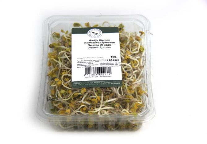 Radijs scheuten per bakje